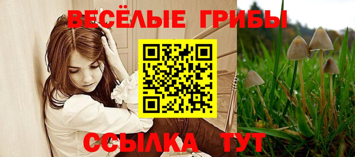 Псилоцибиновые грибы Cubensis  Вход с VPN  Саров 